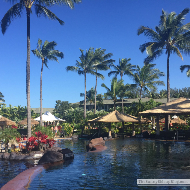 Home again! (Kauai) - The Sunny Side Up Blog