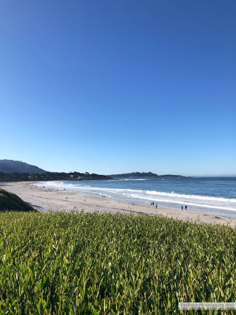 Carmel By the Sea and a major planning session - The Sunny Side Up Blog