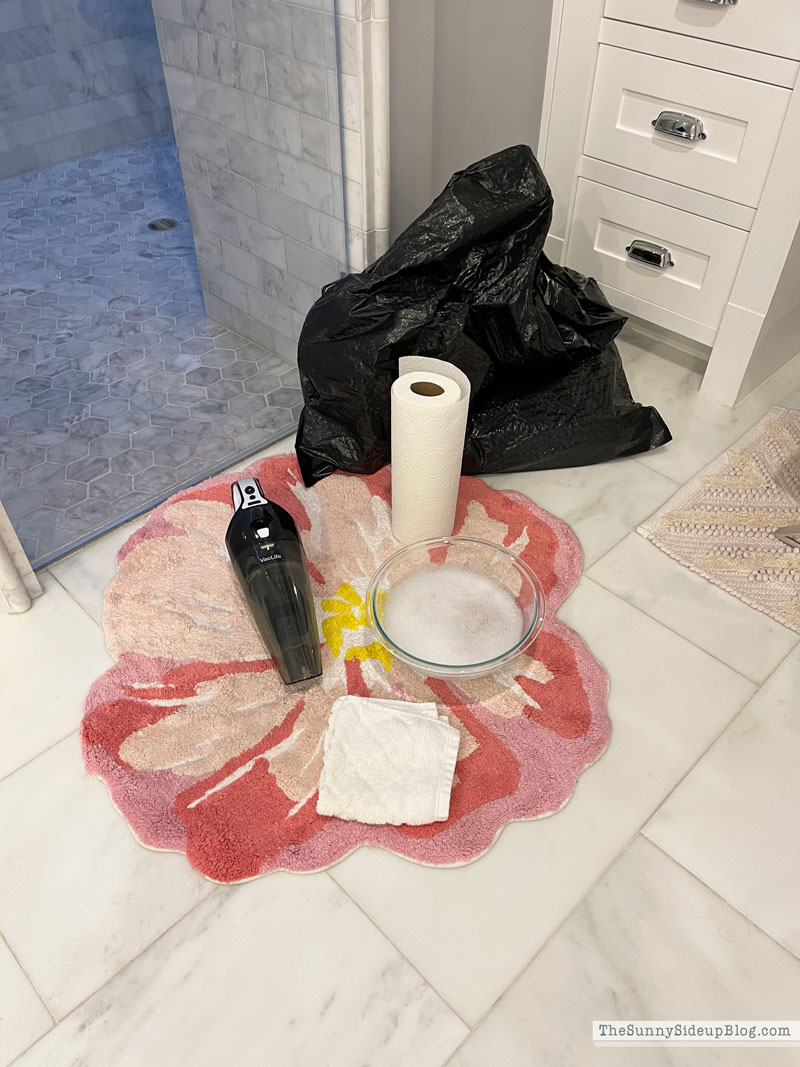 https://www.thesunnysideupblog.com/wp-content/uploads/2021/02/bathroom-cleaning-essentials.jpg