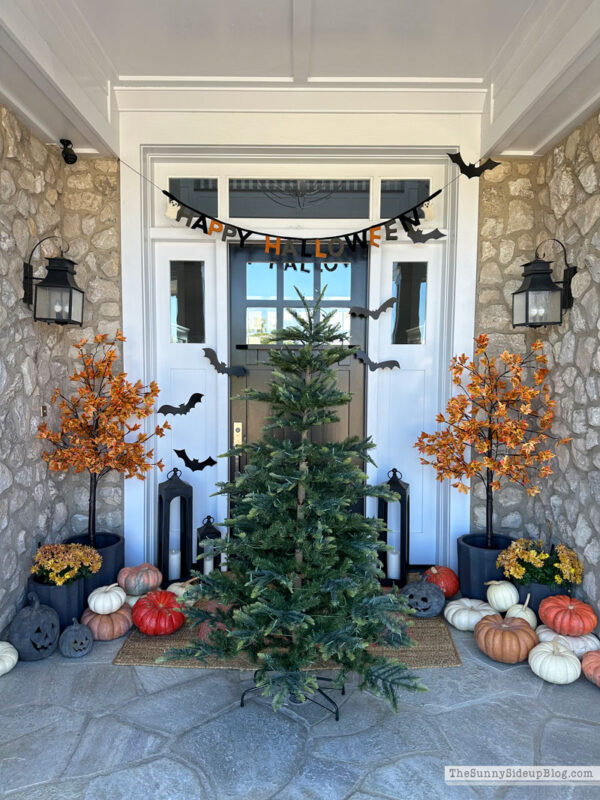 Wreaths, Trees and more holiday favorites - The Sunny Side Up Blog