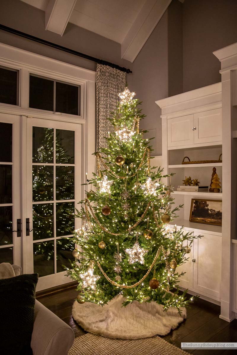 Star Christmas Tree (Sunny Side Up)