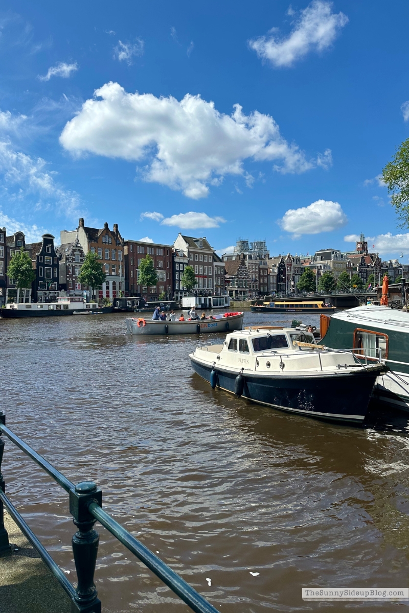 Amsterdam (Sunny Side Up)