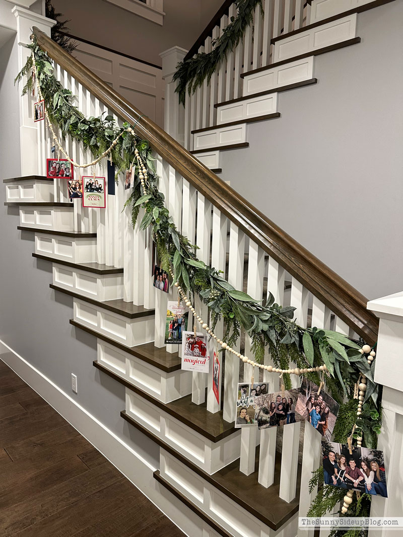 Holiday Card Garland (Sunny Side Up)